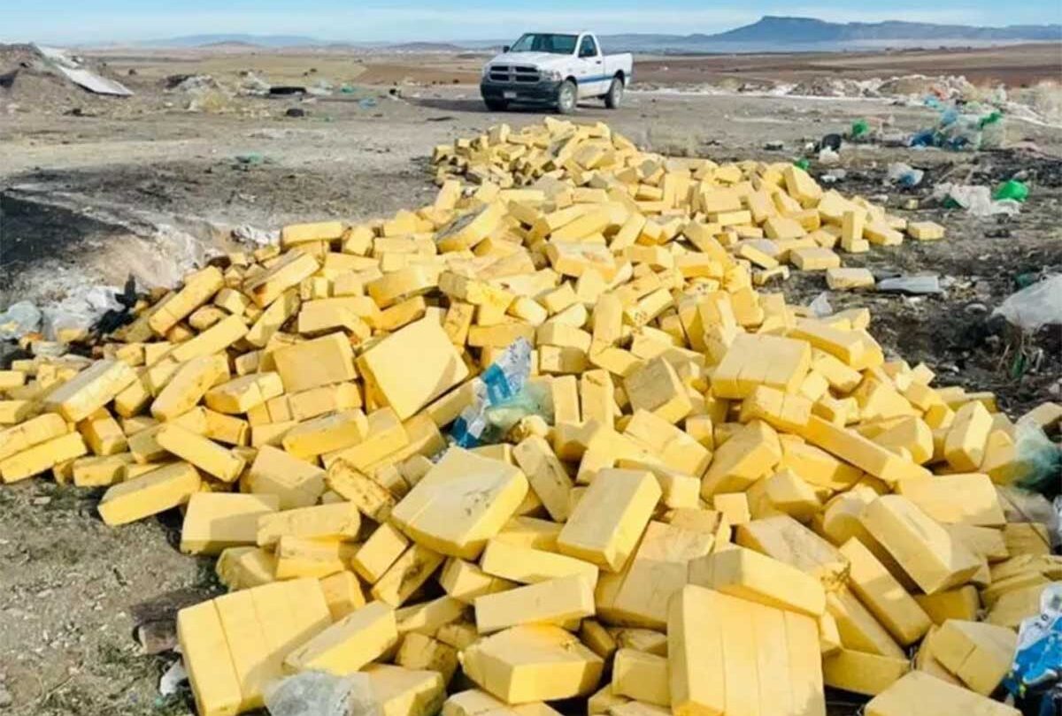Detecta Coespris 10 toneladas de queso menonita contaminado |