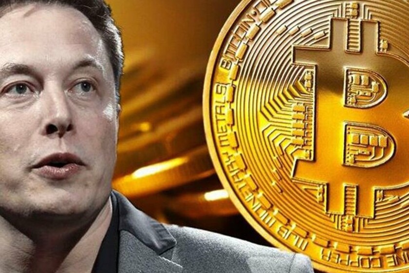 ¿Dogecoin o Bitcoin? Elon Musk pregunta a sus seguidores cuál será la criptomoneda que deben conservar