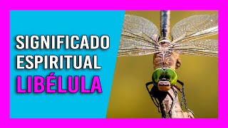 El significado espiritual de la libélula: vivir el momento y tener una visión clara de la vida desde primera hora de la mañana