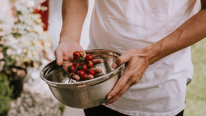 España: Jóvenes abren Gloria, marketplace de productos agrícolas que acepta Bitcoin