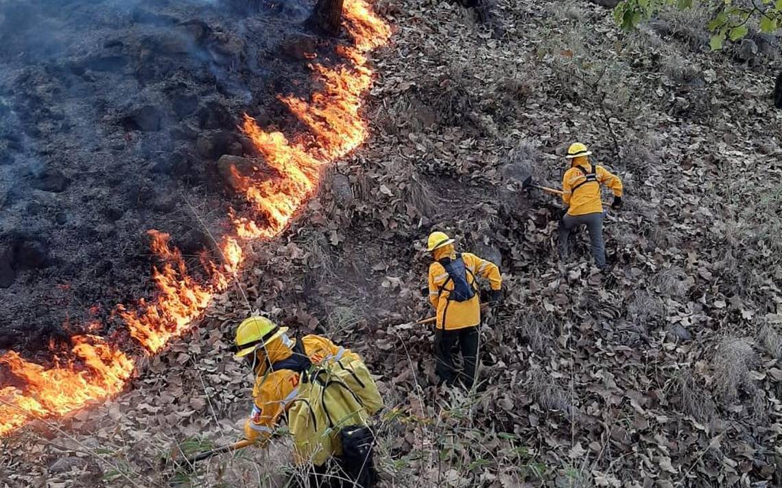 Fenómeno de La Niña incrementa los incendios forestales en Nayarit