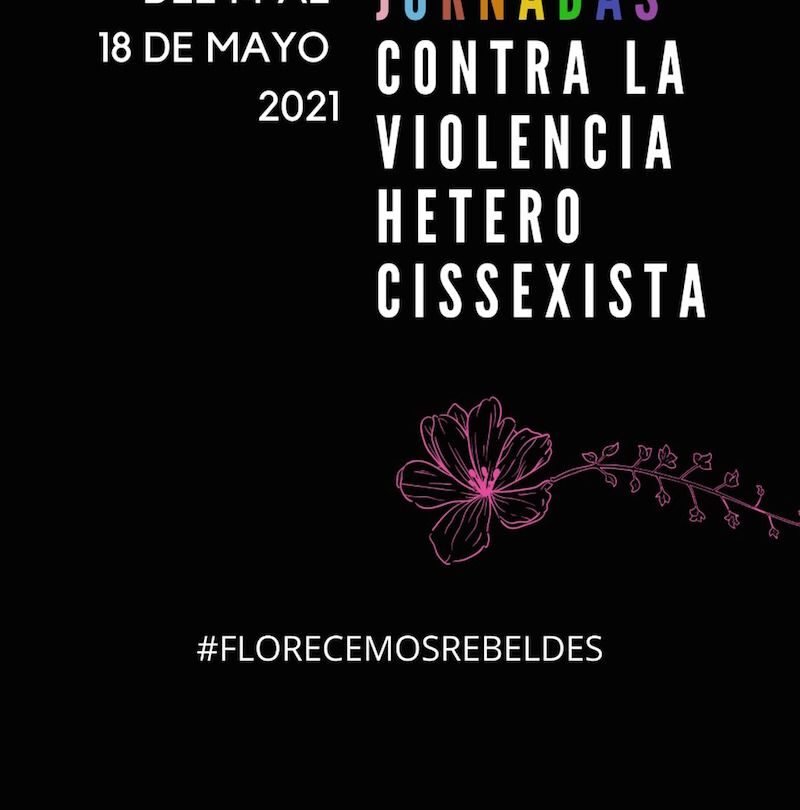 Jornada virtual contra la Violencia Heterocissexista en Querétaro |