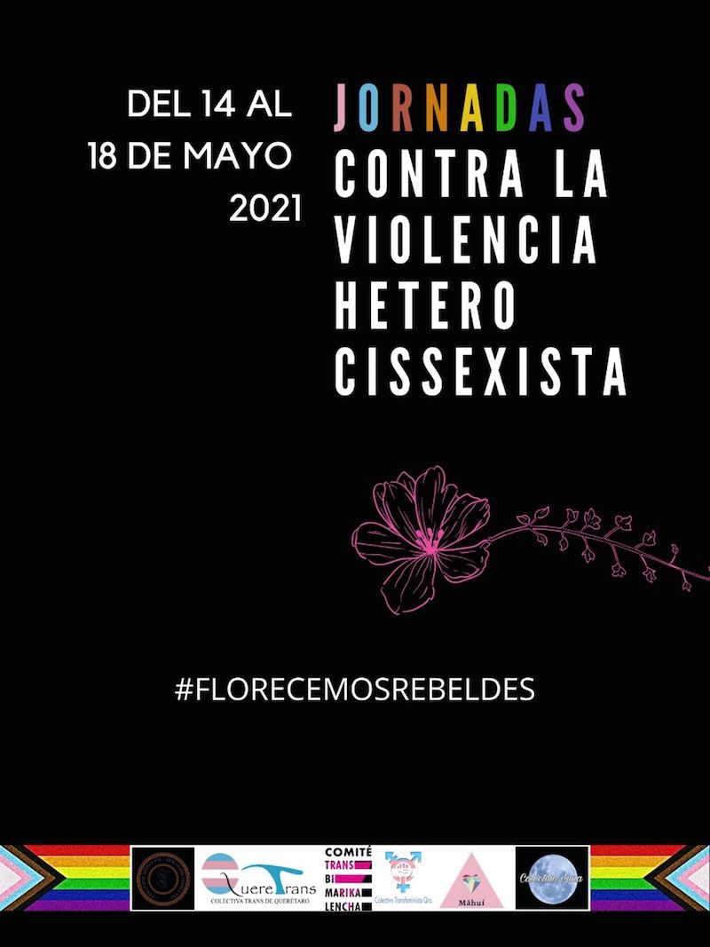 Jornada virtual contra la Violencia Heterocissexista en Querétaro