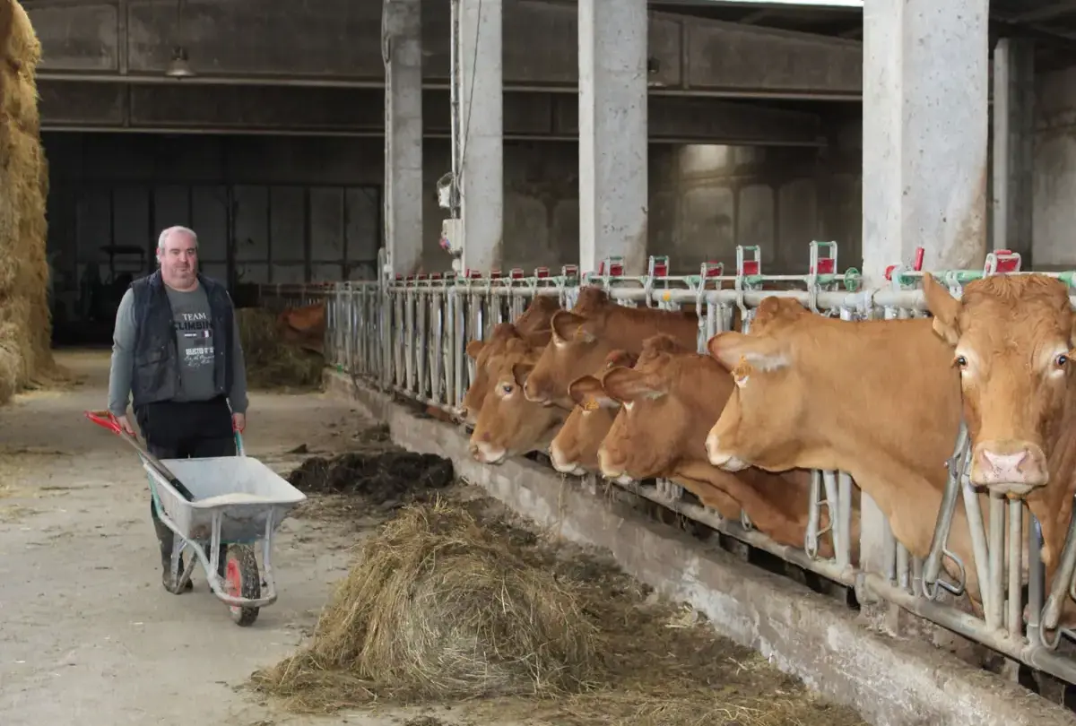 La carne congelada pone en peligro la economía de los creadores de ganado en Jerez |