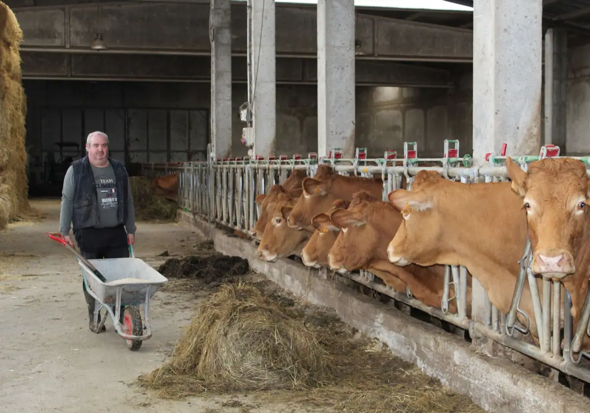 La carne congelada pone en peligro la economía de los creadores de ganado en Jerez