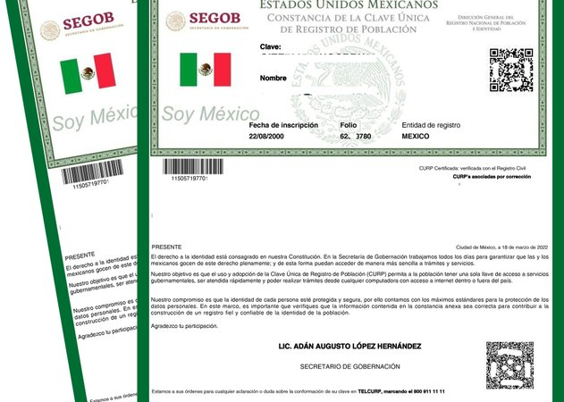 La CURP se actualizará con fotografía: avanza reforma en el Senado