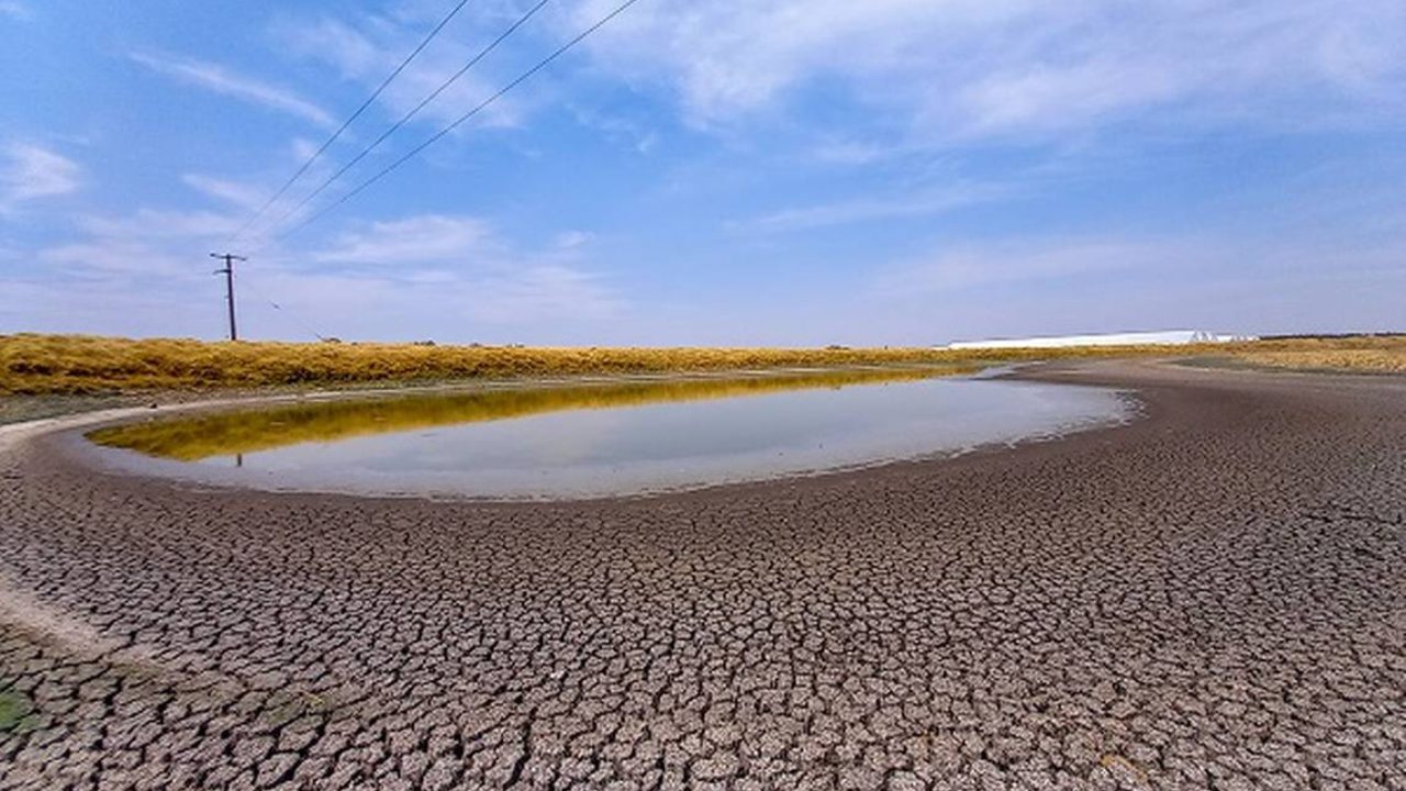 La sequía persiste en Querétaro: el 100% del territorio afectado, según la Conagua