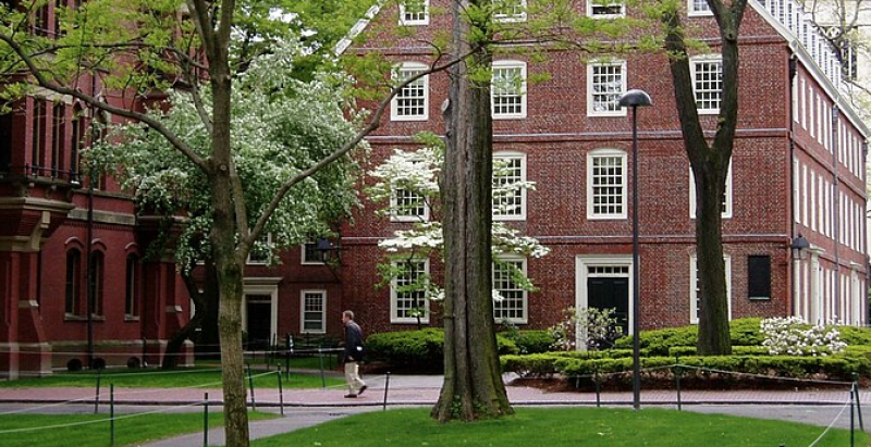 La Universidad de Harvard enfrenta una disminución del 17% en las solicitudes anticipadas debido a la controversia en torno a la guerra en Gaza y la decisión del Tribunal Supremo