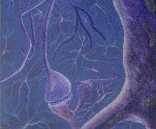 Neurosis Global