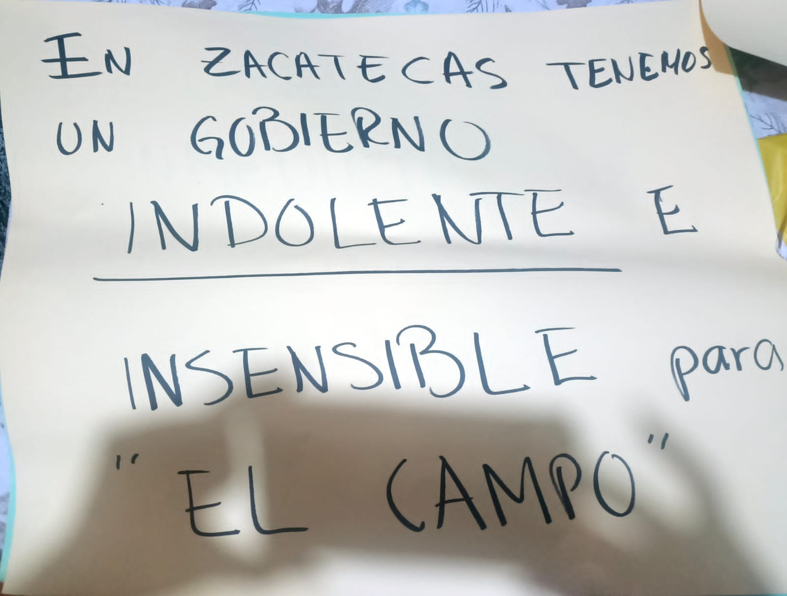 Productores de frijol de Zacatecas indignados por la falta de compromiso del Gobierno