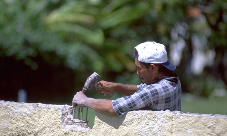 Propuesta para regresar el Programa Bracero amenaza a trabajadores mexicanos: CDM