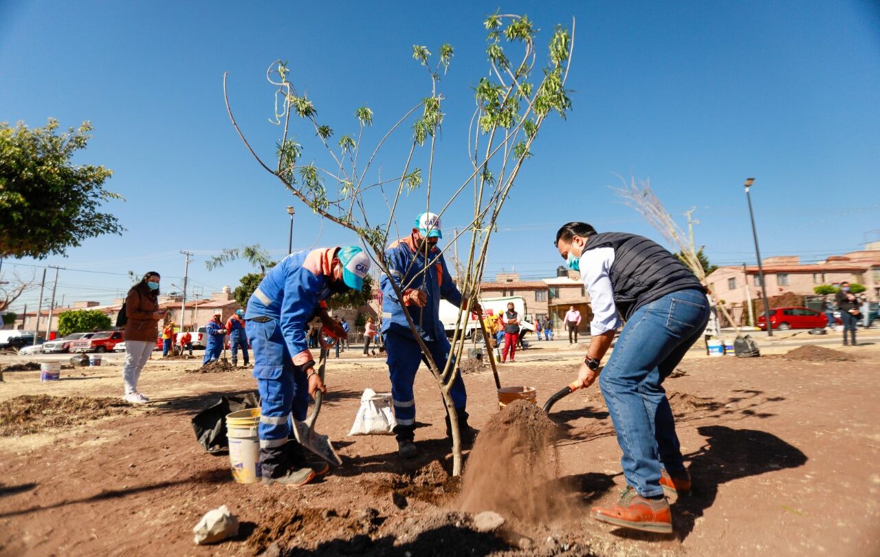Realizan jornada de Reforestación en la capital queretana |