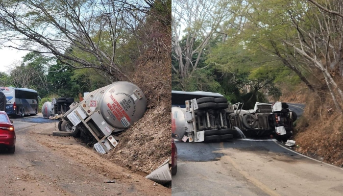 Semoviente provoca accidente en la carretera Tepic-Puerto Vallarta