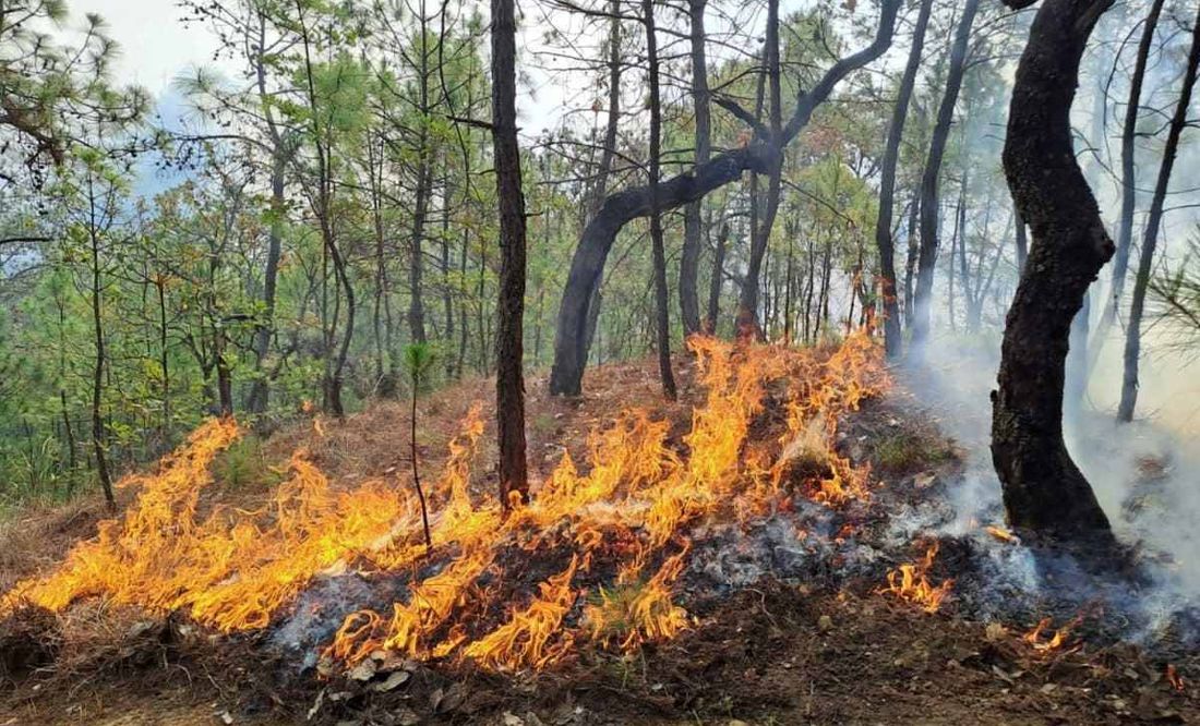 Tarde de incendios en Edomex