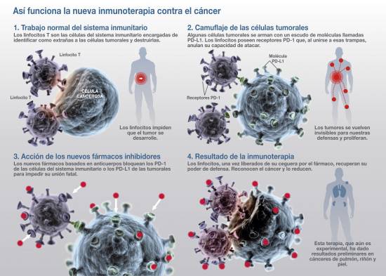 Terapias contra el cáncer serán más efectivas