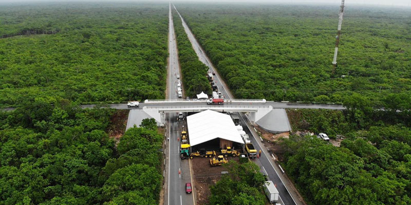 Tren Maya correrá sobre segundo piso en su tramo Cancún-Playa del Carmen