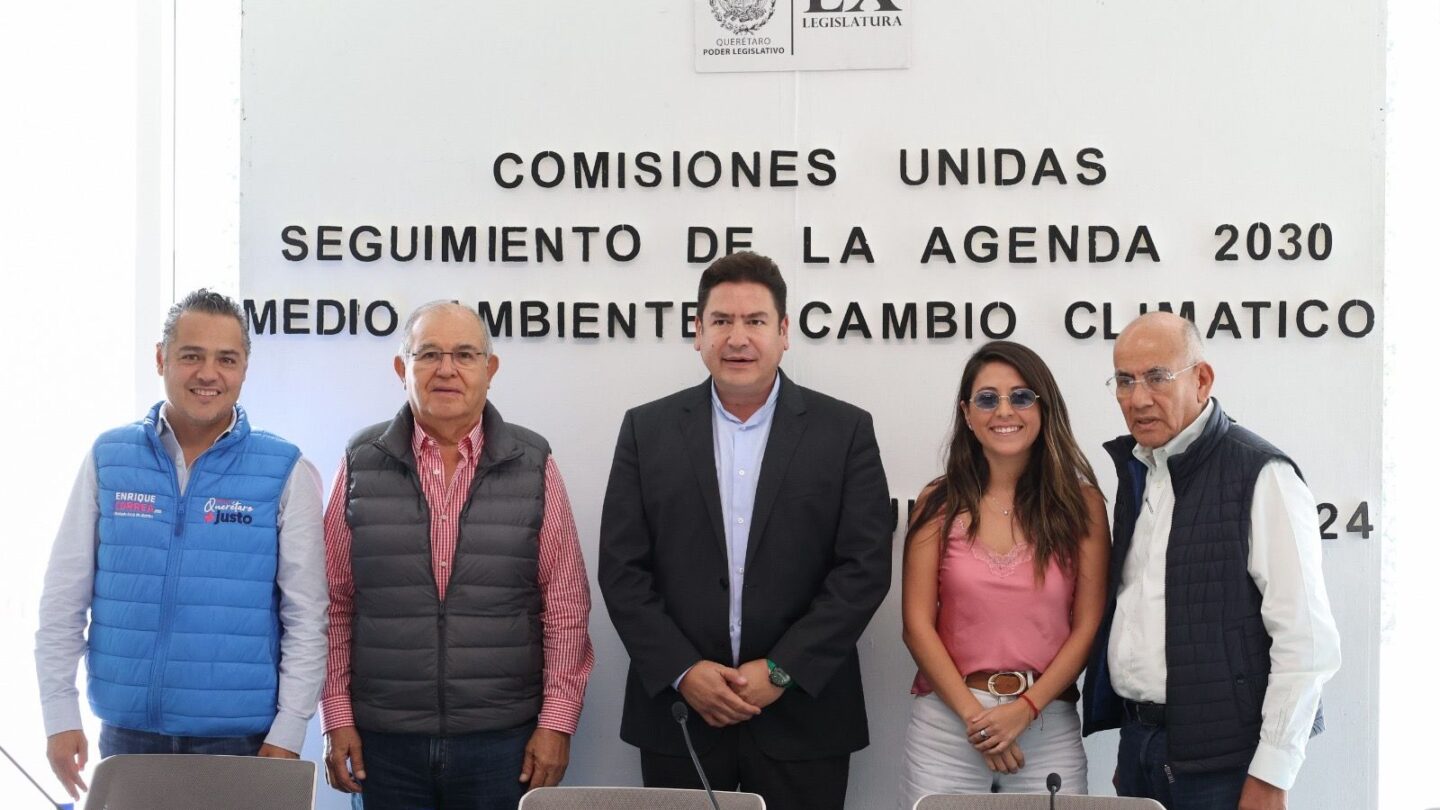 Aprobadas reformas a la Ley de Protección Animal en Querétaro Nuevo enfoque en la protección y bienestar animal |