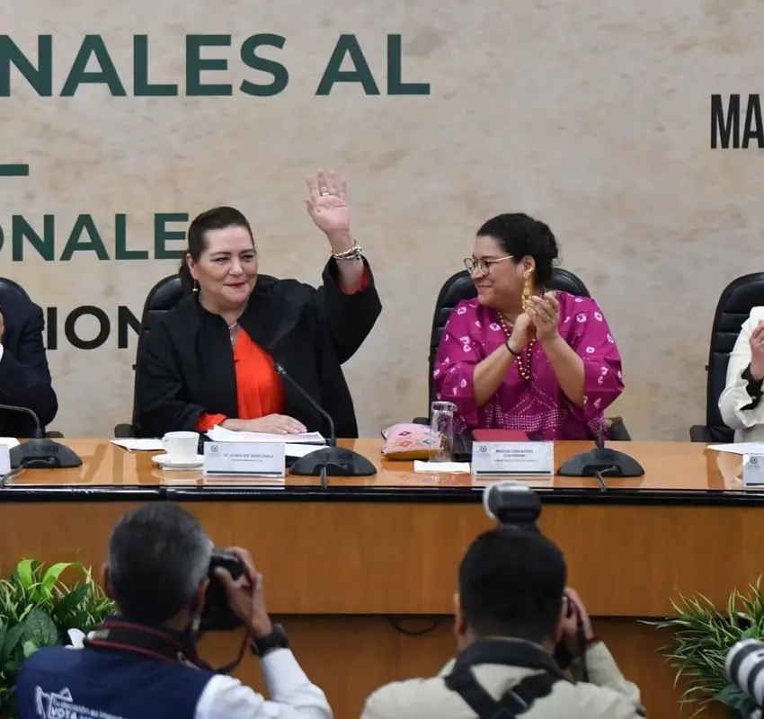 El costo del proceso para elegir a jueces podría ser equiparable al de una elección presidencial, advierte Guadalupe Taddei