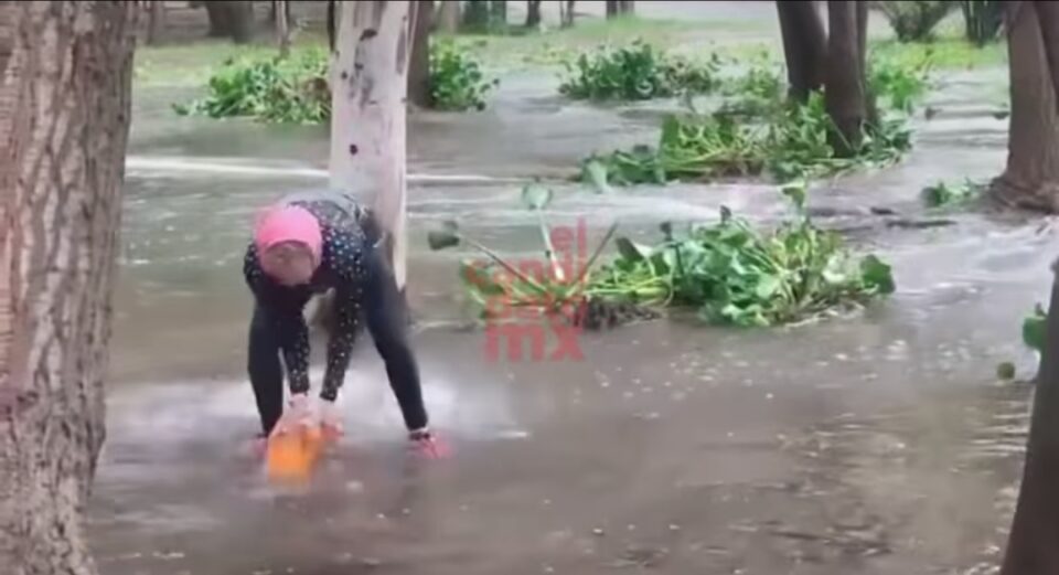 Emergencia en el Parque Tangamanga: Desbordamiento de lagos pone en peligro a los peces y fauna local