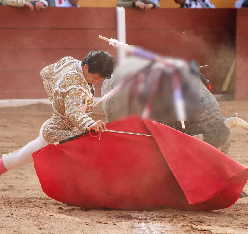 Toros en Fresnillo