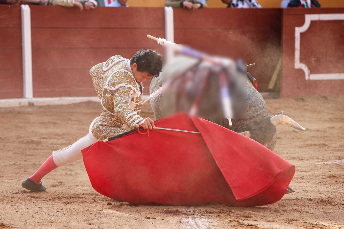 Toros en Fresnillo