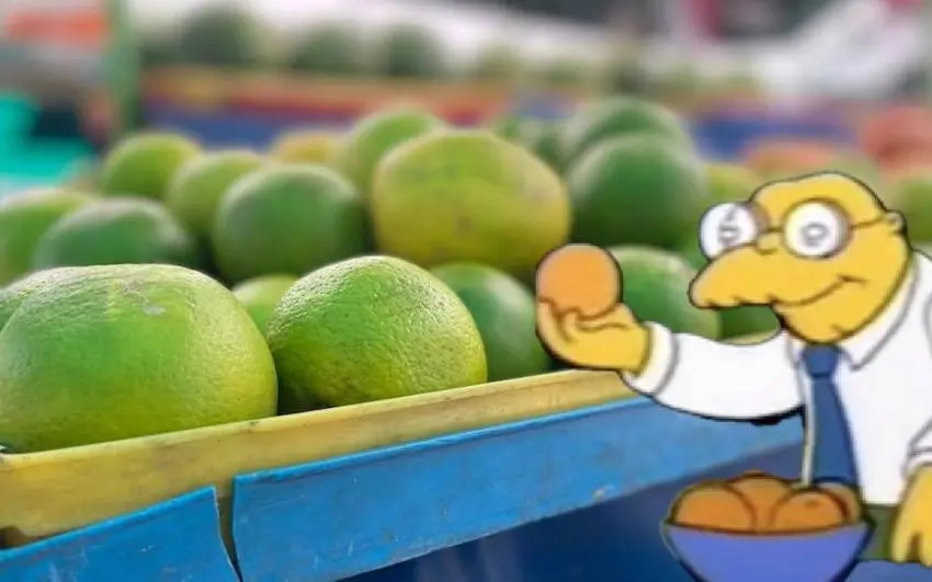 Fuimos al tianguis por un jugo de naranja pero no había porque está muy cara