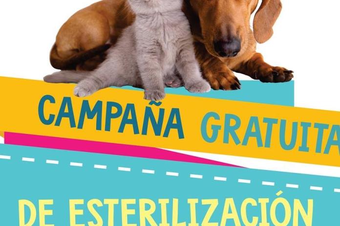 Cuidado animal: Una responsabilidad compartida