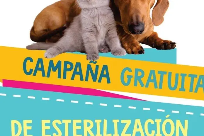 Cuidado animal: Una responsabilidad compartida