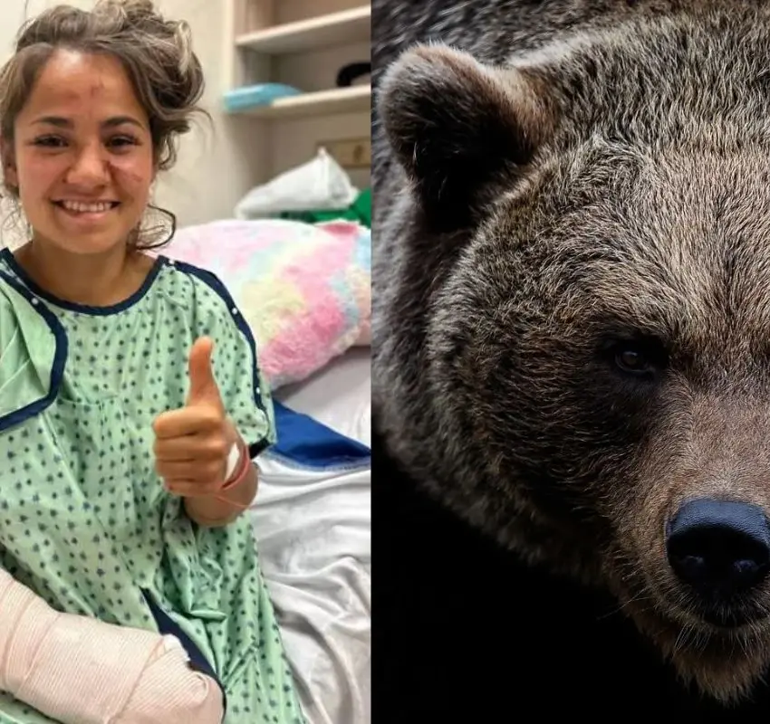 Una mujer sobrevive a ataque de osos en Canadá
