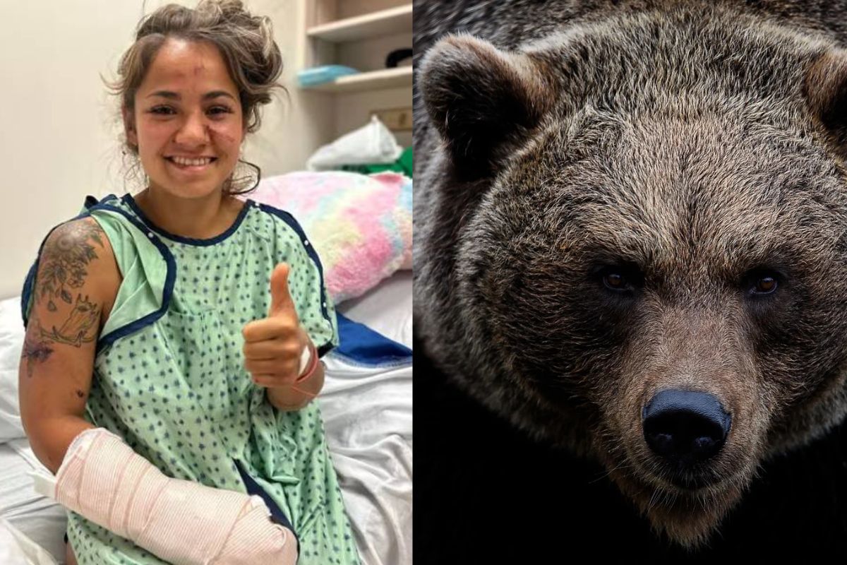 Una mujer sobrevive a ataque de osos en Canadá