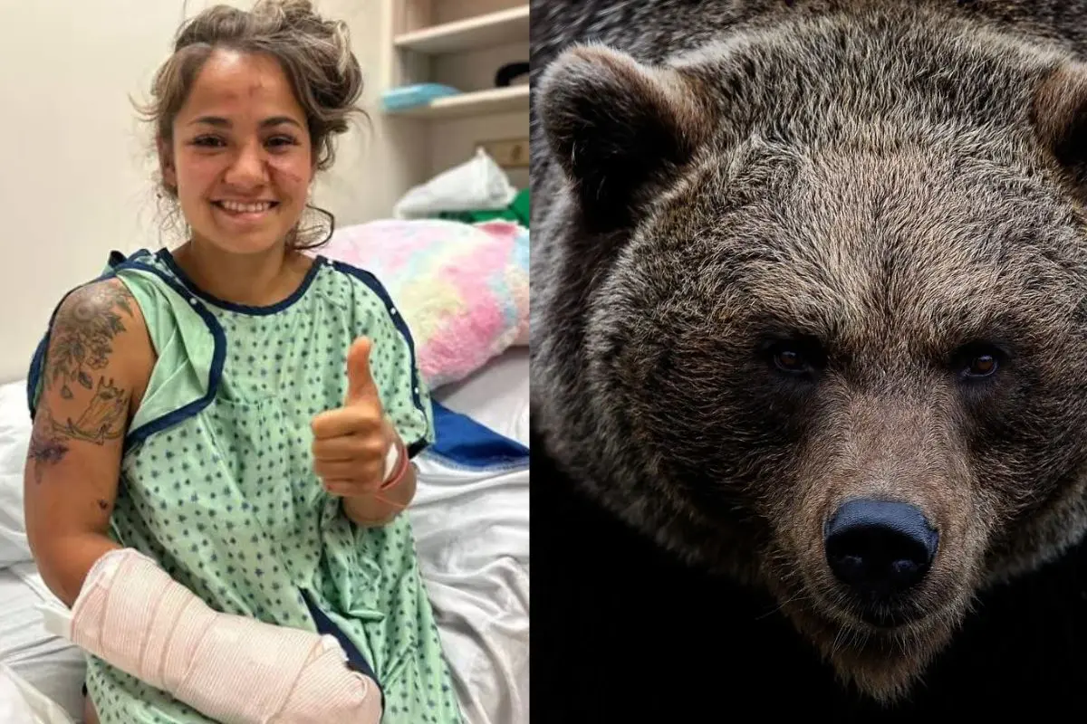 Una mujer sobrevive a ataque de osos en Canadá |