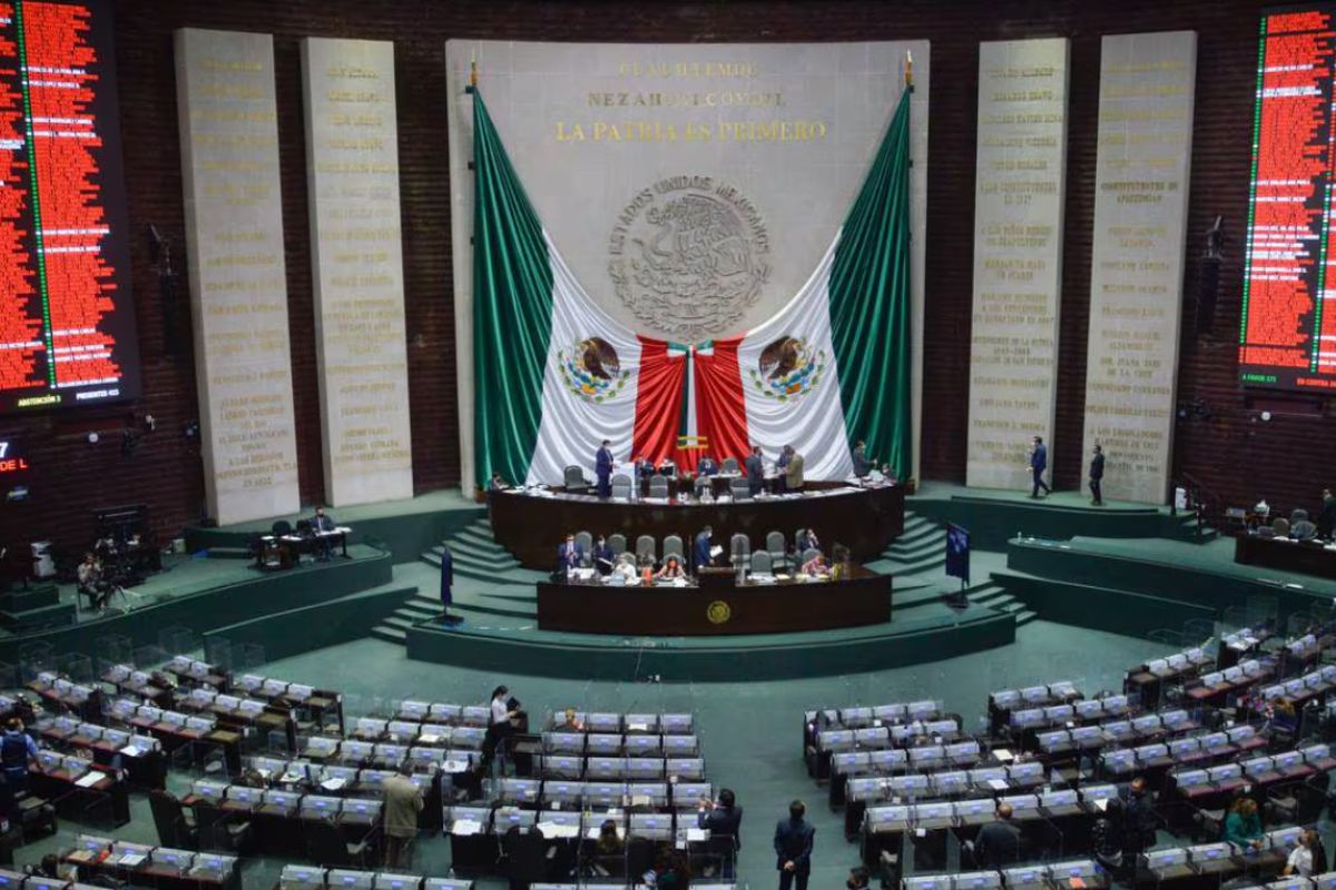 Zacatecas tendrá 17 Legisladores federales