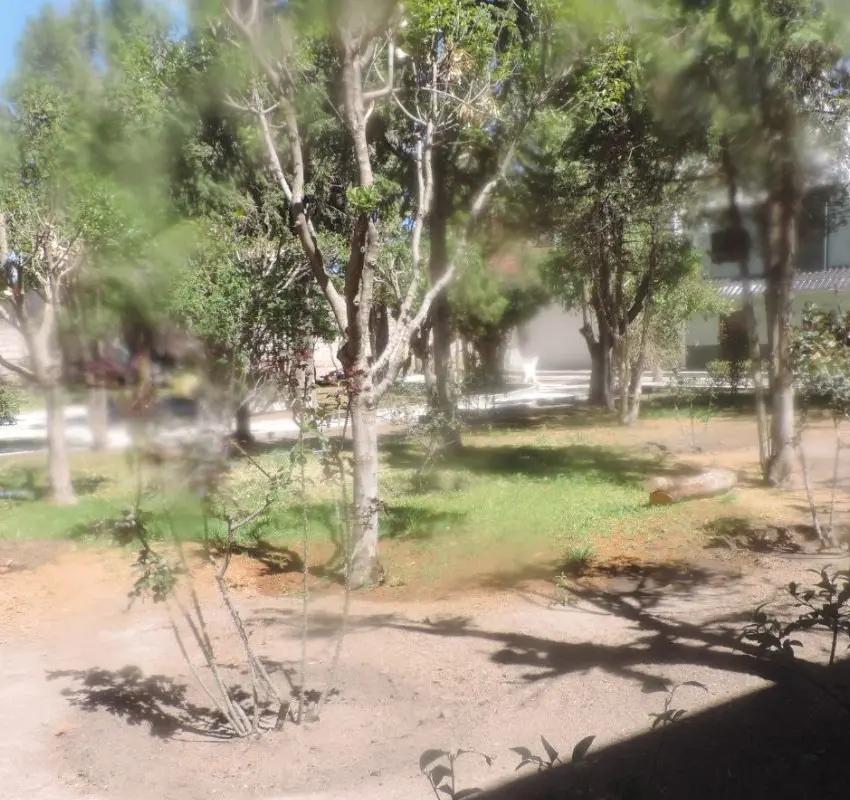 Vecinos del fraccionamiento Alameda solicitan que regrese Candelario Correa para el cuidado de jardines