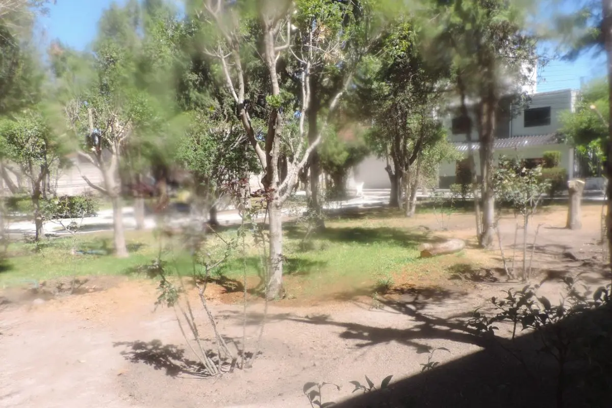 Vecinos del fraccionamiento Alameda solicitan que regrese Candelario Correa para el cuidado de jardines |