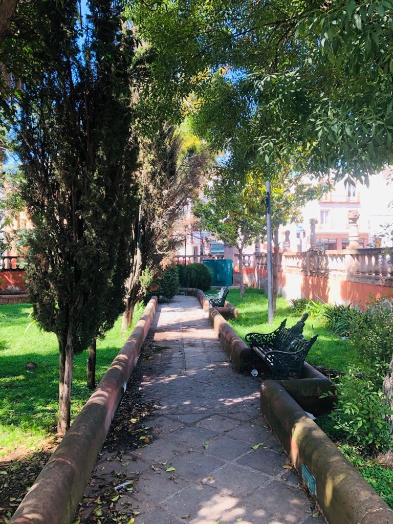 Disfrute de la calma que ofrece el Jardín de la Madre en Zacatecas