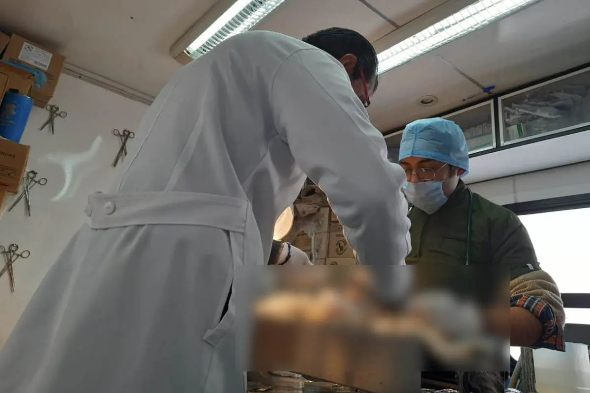 Jornada de Esterilización Canina y Felina en Zacatecas Los 5 municipios a los que acudirán |