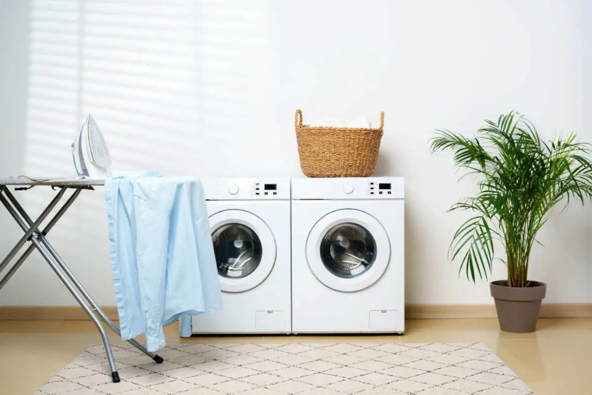 Cómo elegir la lavadora de ropa para tus necesidades |
