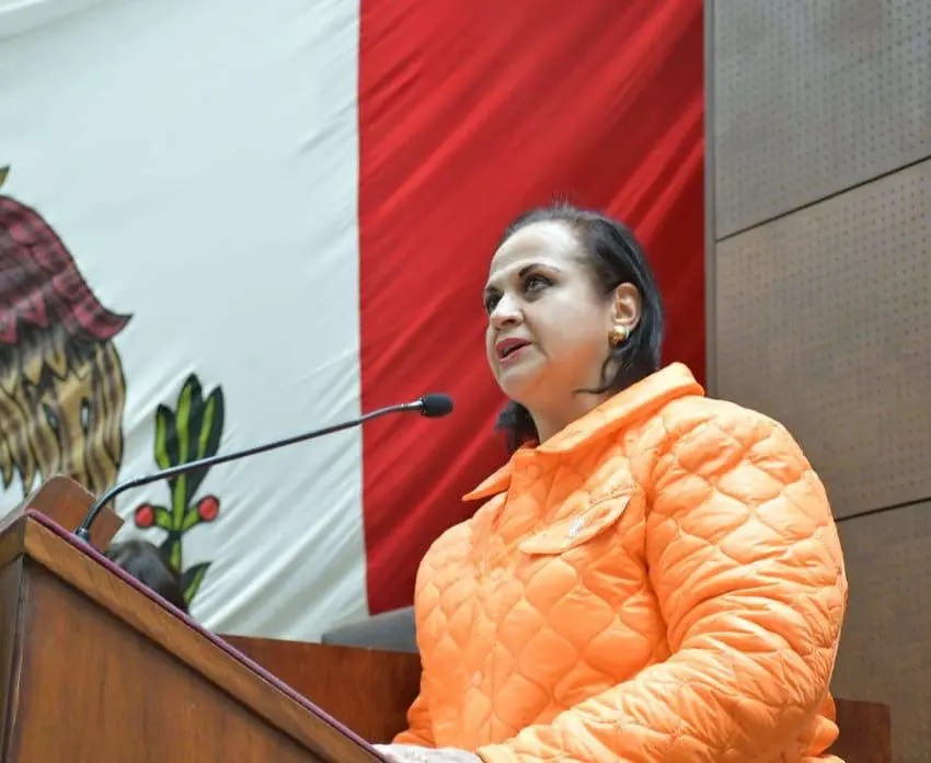 Ana María Romo califica a la Reforma Judicial como retrógrada