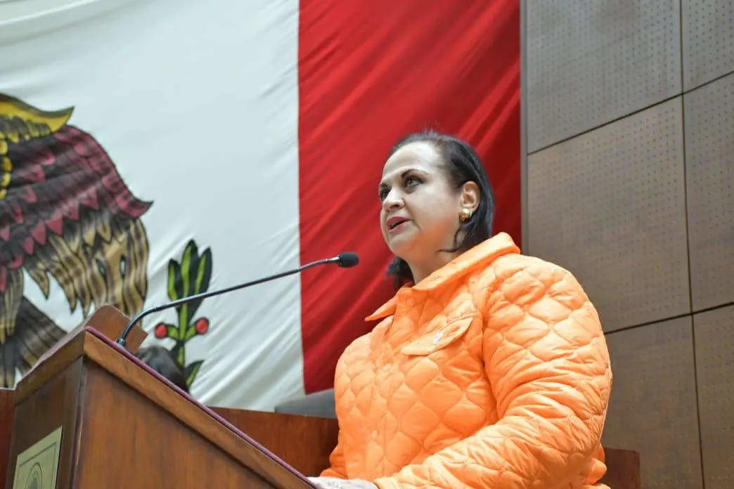 Ana María Romo califica a la Reforma Judicial como retrógrada |