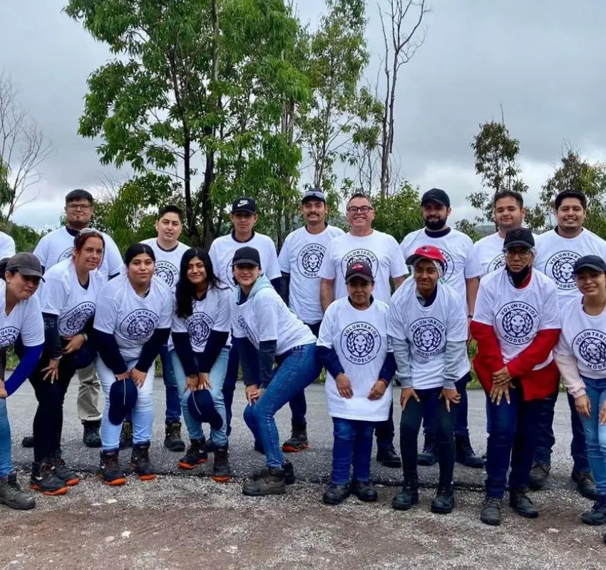 Grupo Modelo y aliados restauran el Cerro de la Bufa con la reforestación de 300 árboles
