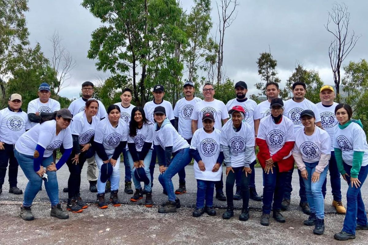 Grupo Modelo y aliados restauran el Cerro de la Bufa con la reforestación de 300 árboles