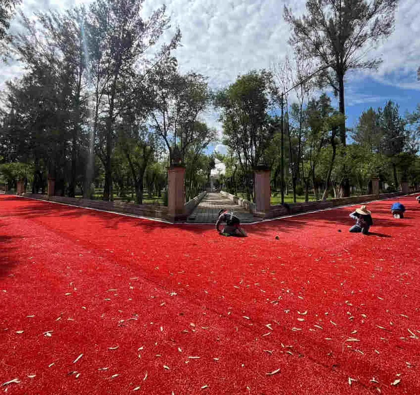 Polémica en Jerez por arreglos en el área de caminatas de la Alameda García Salinas