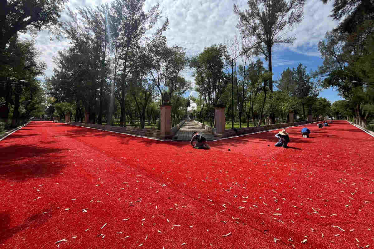 Polémica en Jerez por arreglos en el área de caminatas de la Alameda García Salinas