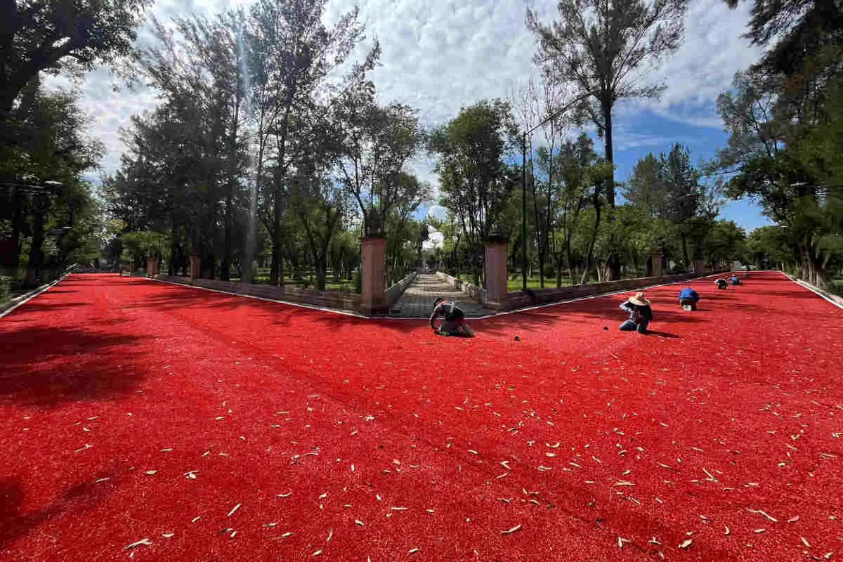 Polémica en Jerez por arreglos en el área de caminatas de la Alameda García Salinas |