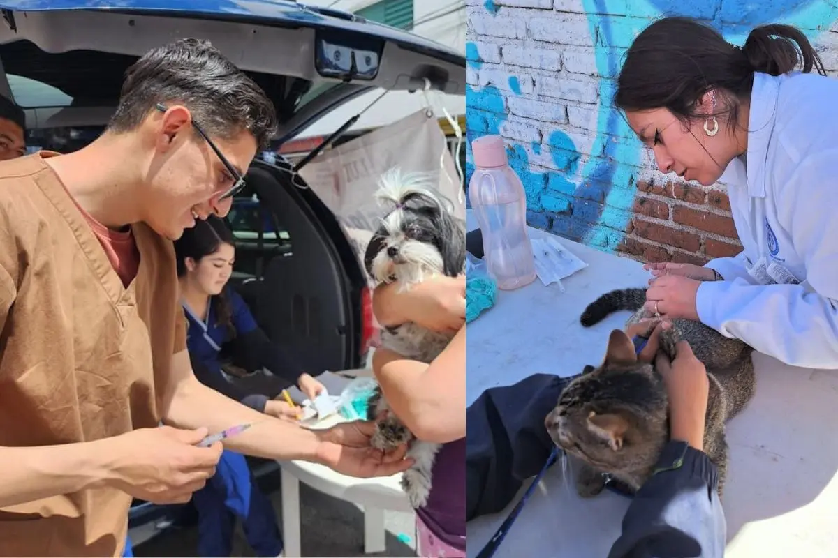 Secretaría de Salud de Zacatecas llevará a cabo refuerzo en vacunación antirrábica |
