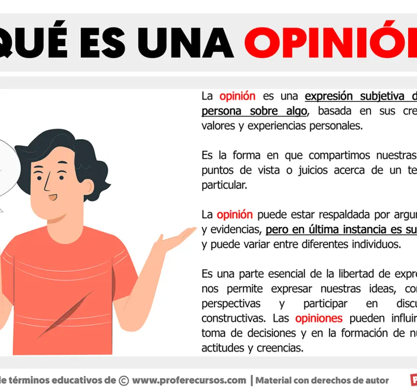 Una simple opinión