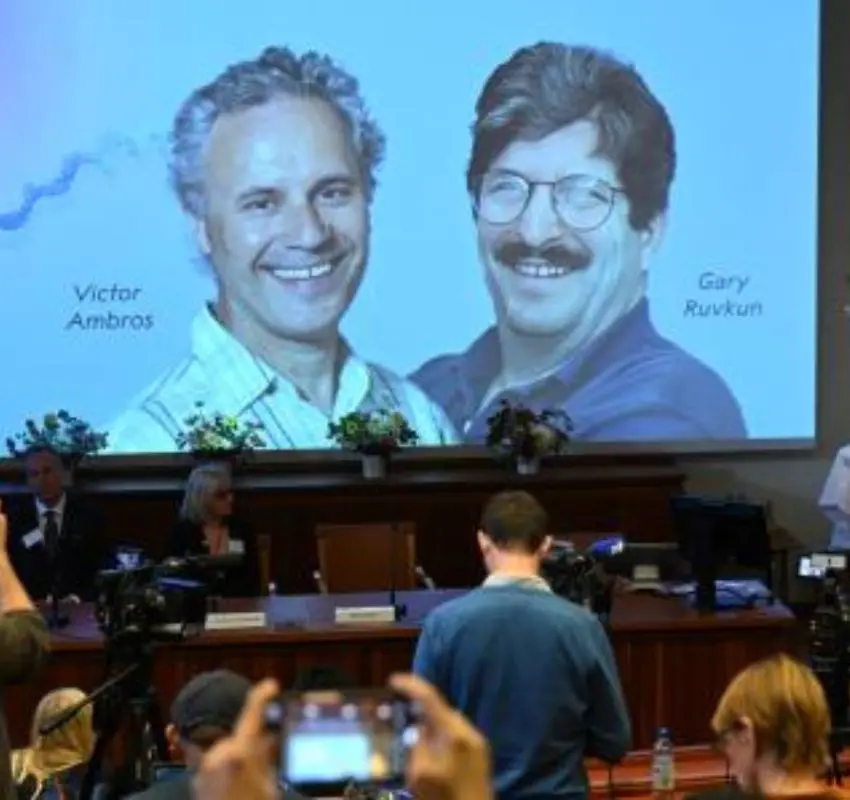 Los estadounidenses Victor Ambros y Gary Ruvkun ganan el Nobel de Medicina 2024