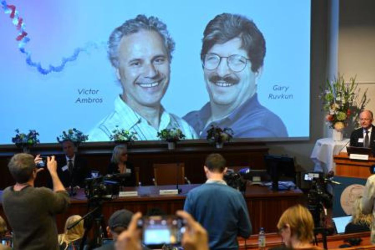 Los estadounidenses Victor Ambros y Gary Ruvkun ganan el Nobel de Medicina 2024