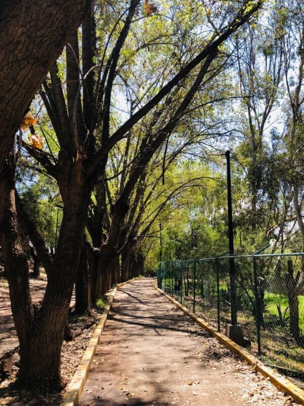 Aquí le traemos un paseo por el Parque Arroyo de la Plata