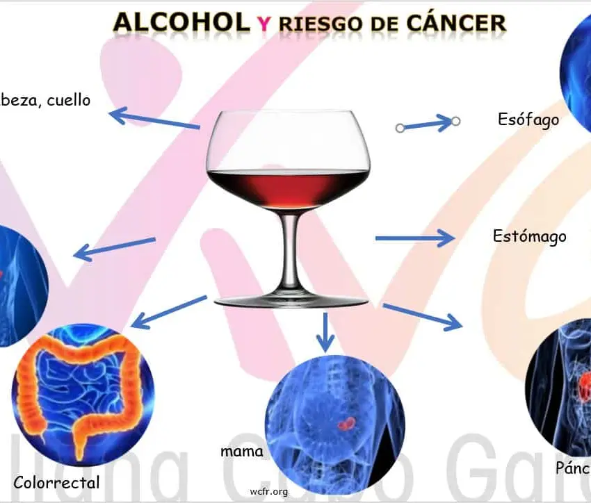 Alcohol … y cáncer
